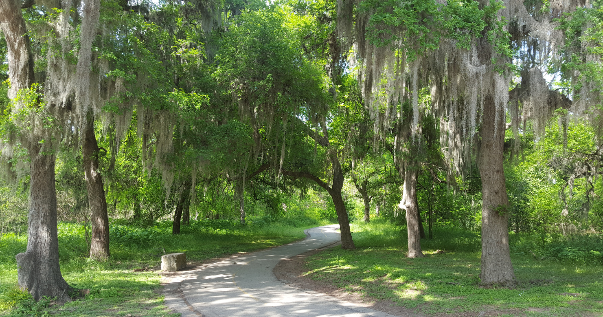 Featured background image for Linear Creekway Parks Advisory Board
