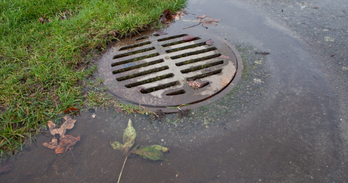 Featured background image for Storm Water Management Advisory Board