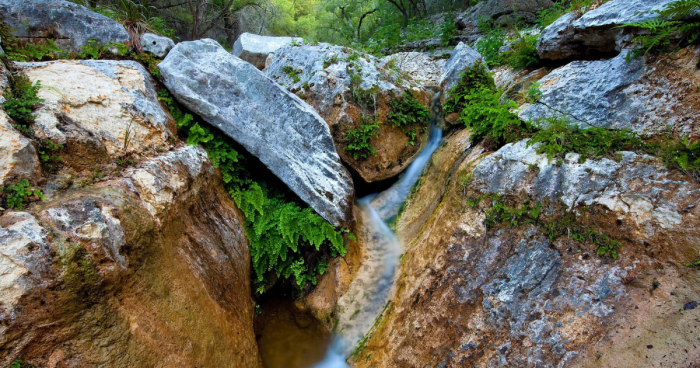 Featured background image for Conservation Advisory Board